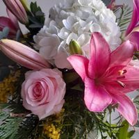 flors-maria-02