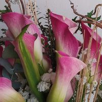 flors-maria-04