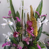 flors-maria-05