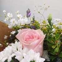 flors-maria-07