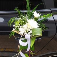 flors-maria-10